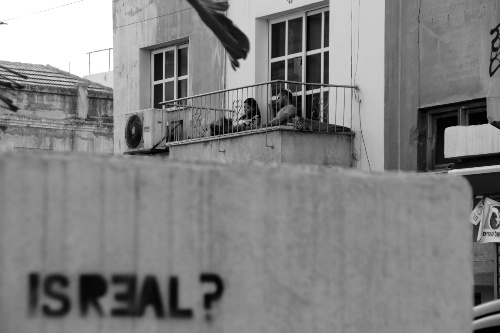 Bild des Tages