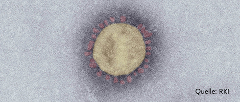 Bund fördert die Coronavirus-Forschung