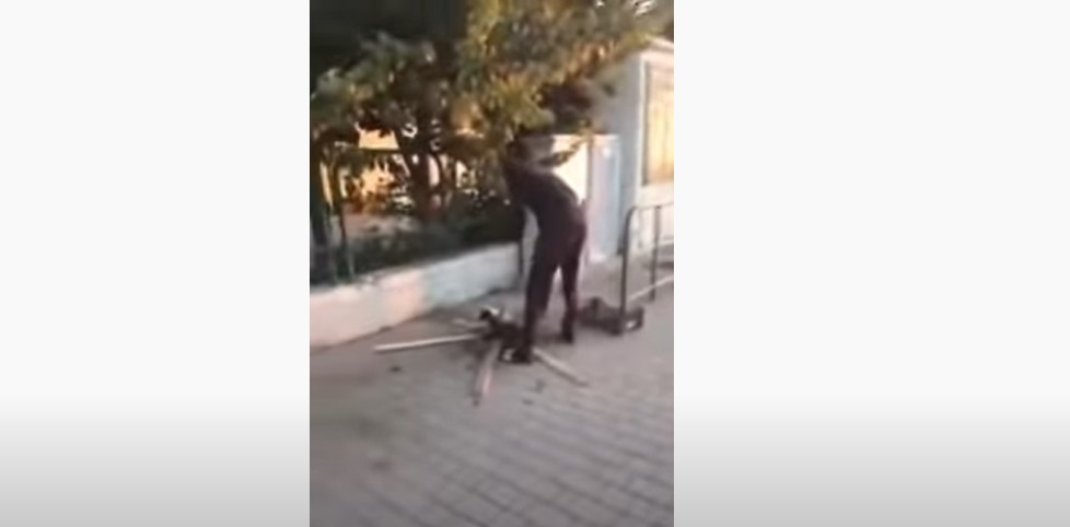 Video schockt Italien: Migrant grillt sich Katze auf Bahnhofsvorplatz
