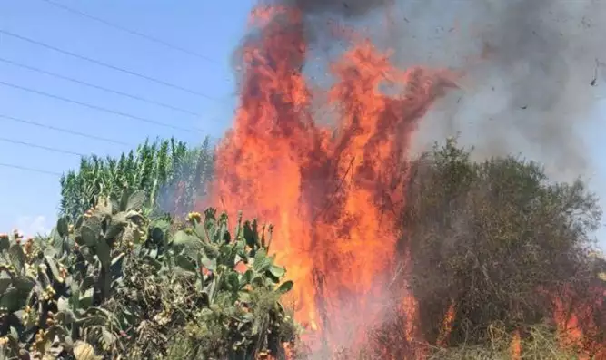 Gaza Ballonterror entzündet 35 Brände in Südisrael