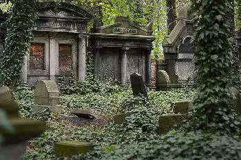 Mann, der jüdische Gräber in Dänemark entweiht hat, muss 1 Jahr ins Gefängnis