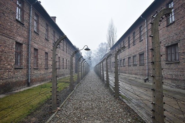 Neue österreichische Ausstellung im Staatlichen Museum Auschwitz-Birkenau eröffnet
