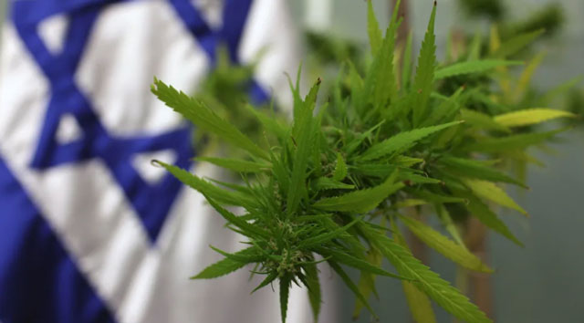 Israelischer Arzneimittelhersteller Teva vermarktet medizinische Cannabisprodukte