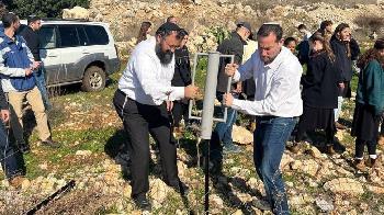Hunderte-versammeln-sich-um-in-Samaria-Bume-zu-pflanzen