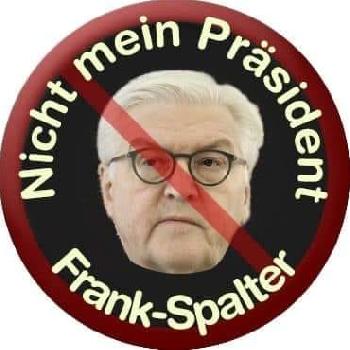 Kein-Prsident-fr-alle-Der-Parteienstaat-whlt-FrankWalter-Steinmeier