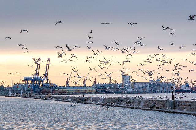 Russland greift den Hafen von Odessa an und zielt auf Versorgungsleitungen