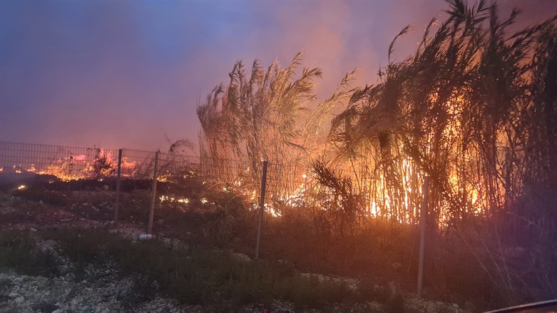 2 große Brände breiten sich im Norden Israels aus