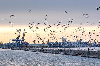 Russland-greift-den-Hafen-von-Odessa-an-und-zielt-auf-Versorgungsleitungen