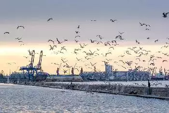 Russland greift den Hafen von Odessa an und zielt auf Versorgungsleitungen