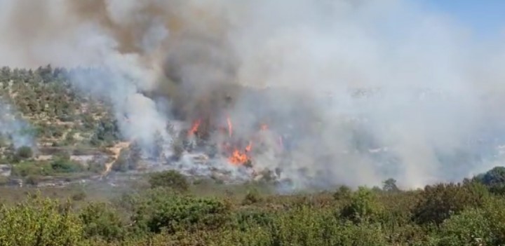 Einwohner evakuiert, als sich das Feuer in den Bergen von Jerusalem ausbreitet