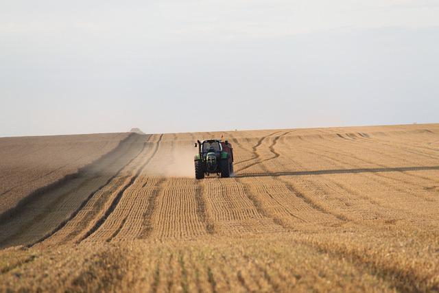 Zwischen der Ukraine und Russland wurde ein vorläufiges Getreideexportabkommen geschlossen