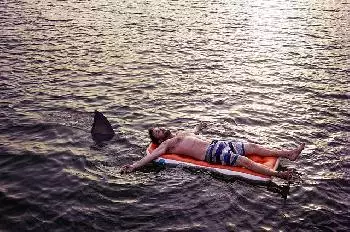 Der fünfte Hai-Angriff in zwei Wochen schockiert die Strandbesucher von Long Island