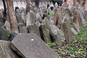 Dutzende-Grber-auf-dem-jdischen-Friedhof-in-Istanbul-zerstrt
