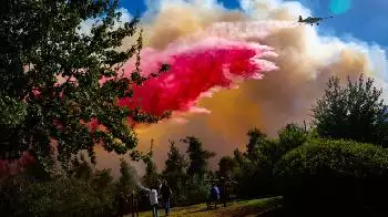 Riesiger Waldbrand lodert in der Nähe von Beit Shemesh
