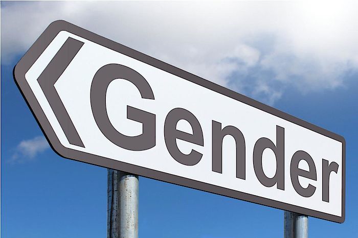 Öffentlicher Aufruf der Experten gegen die Gender-Sprache beim GEZ-Zwangsrundfunk