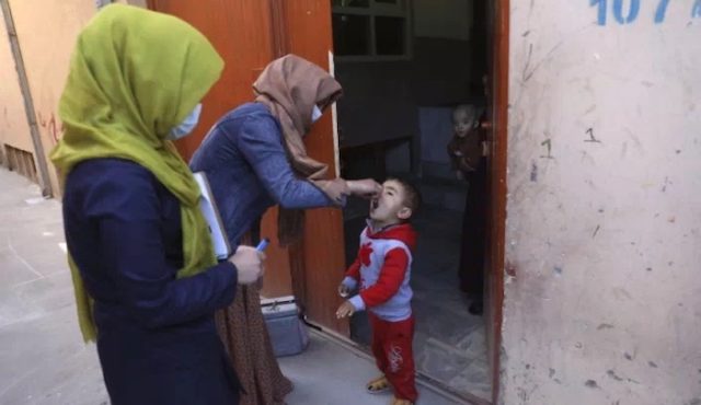 Muslime greifen Polio-Impfteam an, vier Tote
