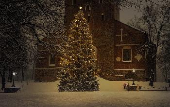 Muslime-schreien-Allahu-akbar-und-fllen-den-Weihnachtsbaum-der-Stadt