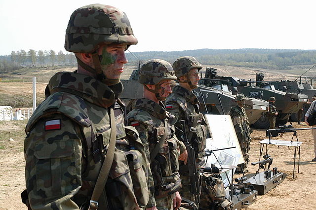 Polens Botschafter äußert sich offen über möglichen NATO-Eingriff in den Ukraine-Konflikt