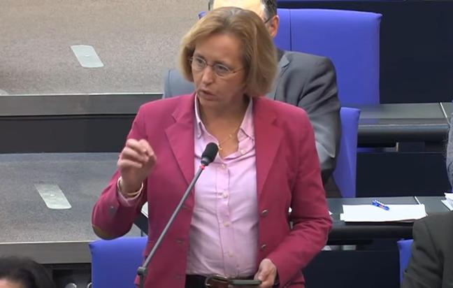 Beatrix von Storch: SPD und CDU heucheln in der Israel-Politik [Video]