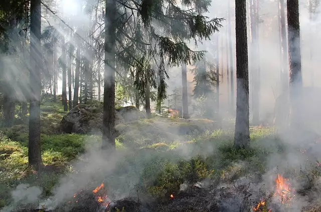 Waldbrand in Brandenburg: Löschflugzeuge kämpfen gegen die Flammen auf munitionsbelastetem Gebiet