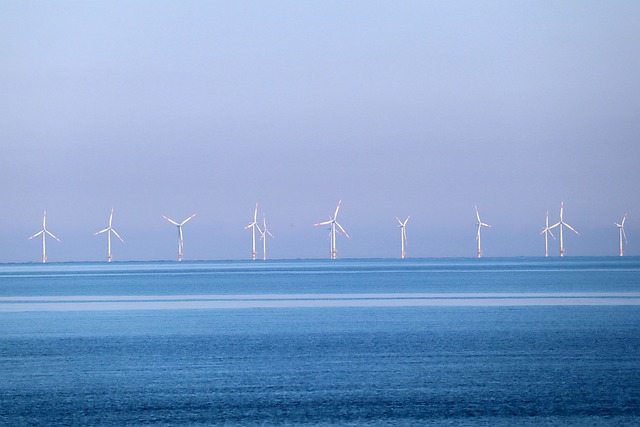 SMHI-Studie offenbart potenzielle Umweltauswirkungen von Offshore-Windparks auf Meeresökosysteme