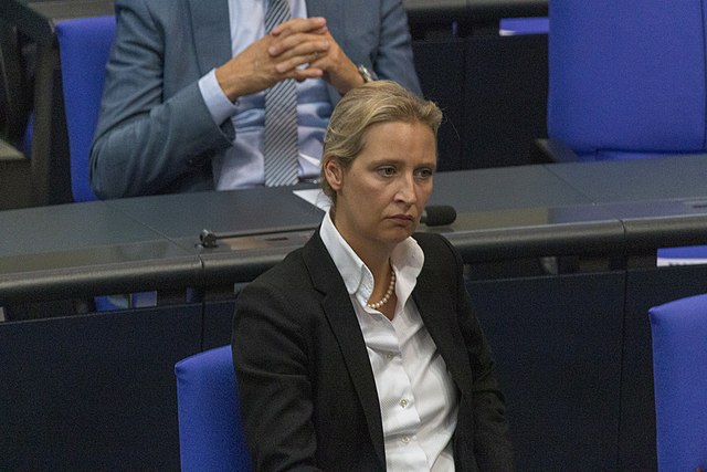 25 % für die AfD bei EU-Wahlen