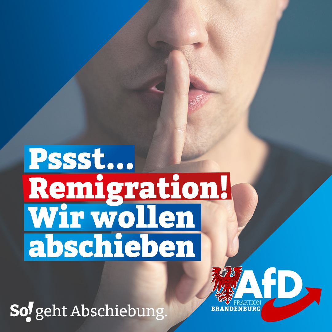 Exklusiv: Geheimste Geheimstpläne der AfD enthüllt