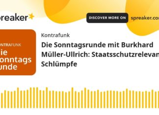 Kontrafunk-Sonntagsrunde: Staatsschutzrelevante Schlümpfe [Podcast]