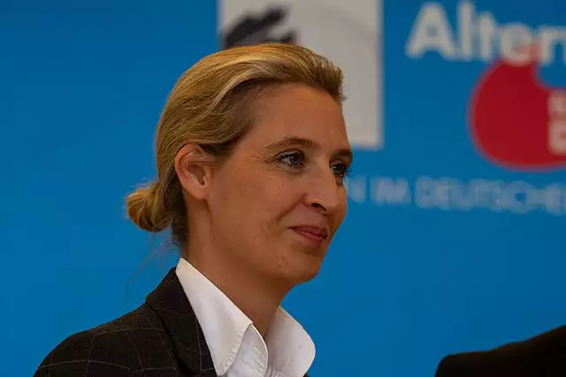 Bayerischer Landtags-Grüner dreht frei: Anzeige wegen „Alice für Deutschland”-Spruch Werbung