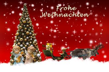 Frohe-Weihnachten-und-ein-herzliches-Dankeschn-an-unsere-Leser