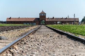 Auschwitz-begeht-80-Jahre-seit-der-Befreiung--Gedenkfeier-mit-den-letzten-berlebenden