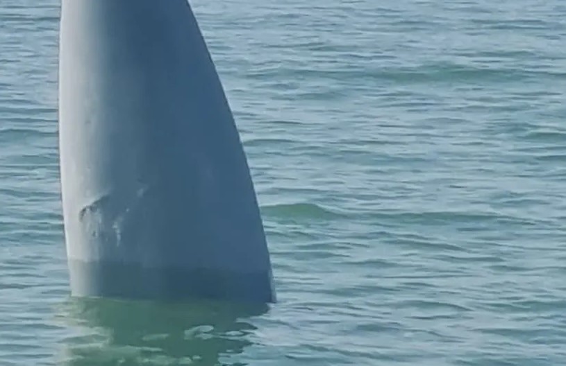Kampfjet-Treibstofftank in der Kinneret entdeckt