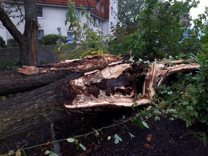 Unwetter legt Berlin und Brandenburg lahm – Feuerwehr im Dauereinsatz
