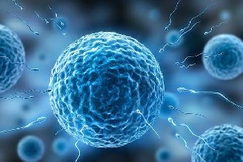 Gesundheitsrisiko-enthllt-Israel-warnt-vor-genetischer-Mutation-bei-Samenspendern