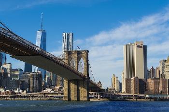 Der-Trumpf-gegen-den-Israelhasser--Wie-Donald-Trump-die-Brgermeisterwahl-in-New-York-aufmischt