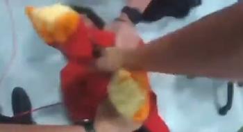 Brutale Attacke in Bristol – Pro-palästinensische Täter stürmen Elbit-Werk und verletzen Polizistin schwer