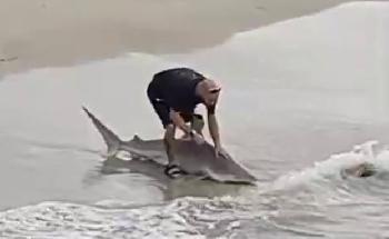 Ein Fischer aus Ashdod befreit einen gefangenen Hai aus seiner eigenen Angelschnur