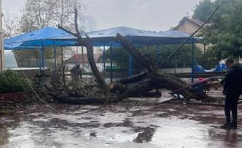 Sturm Byron legt Israel lahm: Ein Wintertag, der das ganze Land auf die Probe stellt