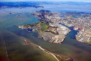 Nach Bondi Beach Anschlag fordert jüdischer Rat Rücktritt eines US Bürgermeisters