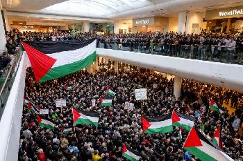 Pro-palästinensische Aktivisten missbrauchen Londons größten Einkaufstag für Israel-Hetze