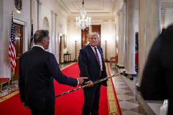 Trump setzt Europa unter Druck: Zölle als Hebel für Grönland