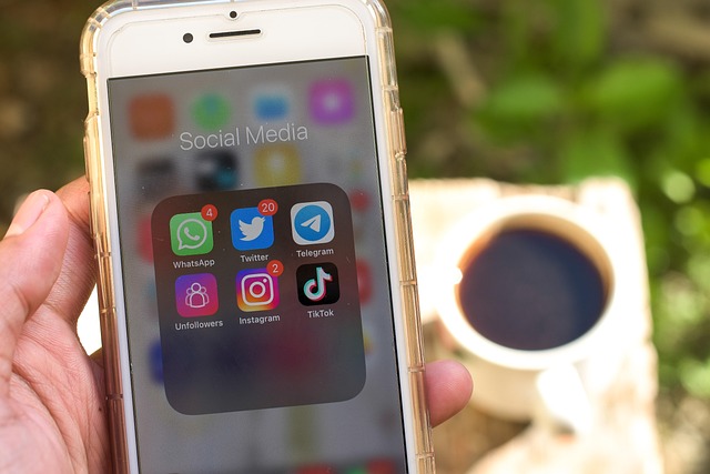 Vereinigte Arabische Emirate machen Eltern für die Online-Sicherheit ihrer Kinder haftbar