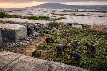 Spanien fordert Israels Ausschluss vom Eurovision und steht selbst wegen sklavenähnlicher Arbeitsbedingungen in der Kritik