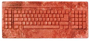 Cyber-Sicherheit im Fokus